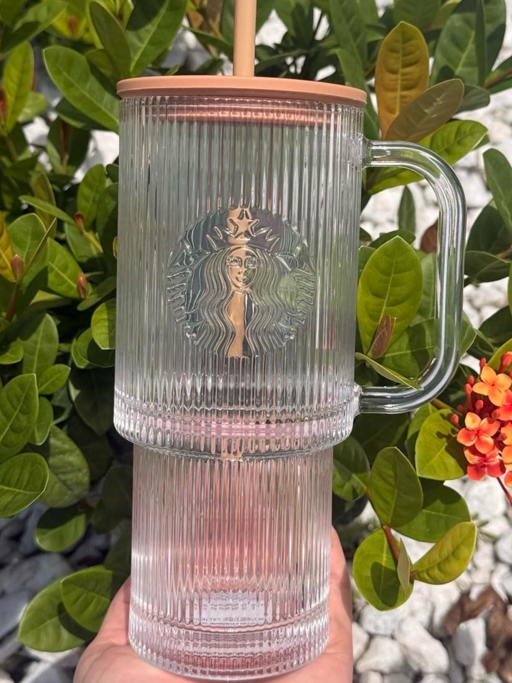 Starbucks 2026 Fall Ribbed Clear Glass Tumbler